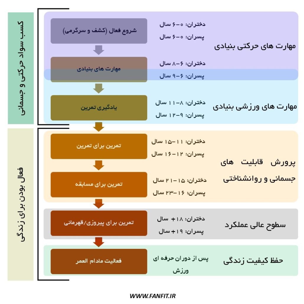 مدل توسعه بلند مدت ورزشکاران