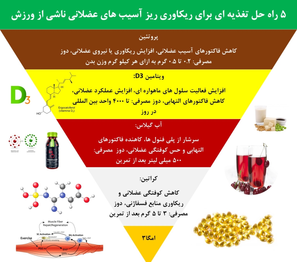 ریکاوری بعد از تمرین e1726726069159