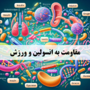مقاومت به انسولین و فعالیت ورزشی