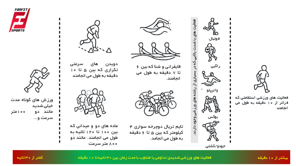 ورزش هایی که احتمالاً بتا-آلانین بتواند آثار ارگوژنیکی بر آن ها داشته باشد