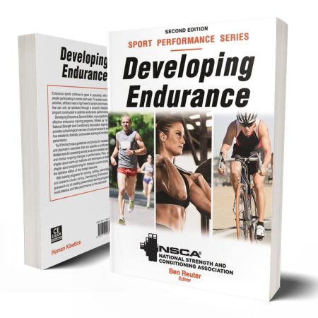 Developing Endurance 2E Mockup cm 1