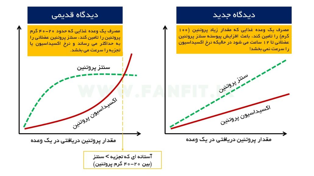 توزیع پروتئین
