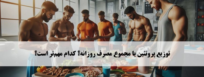 توزیع پروتئین یا مجموع روزانه